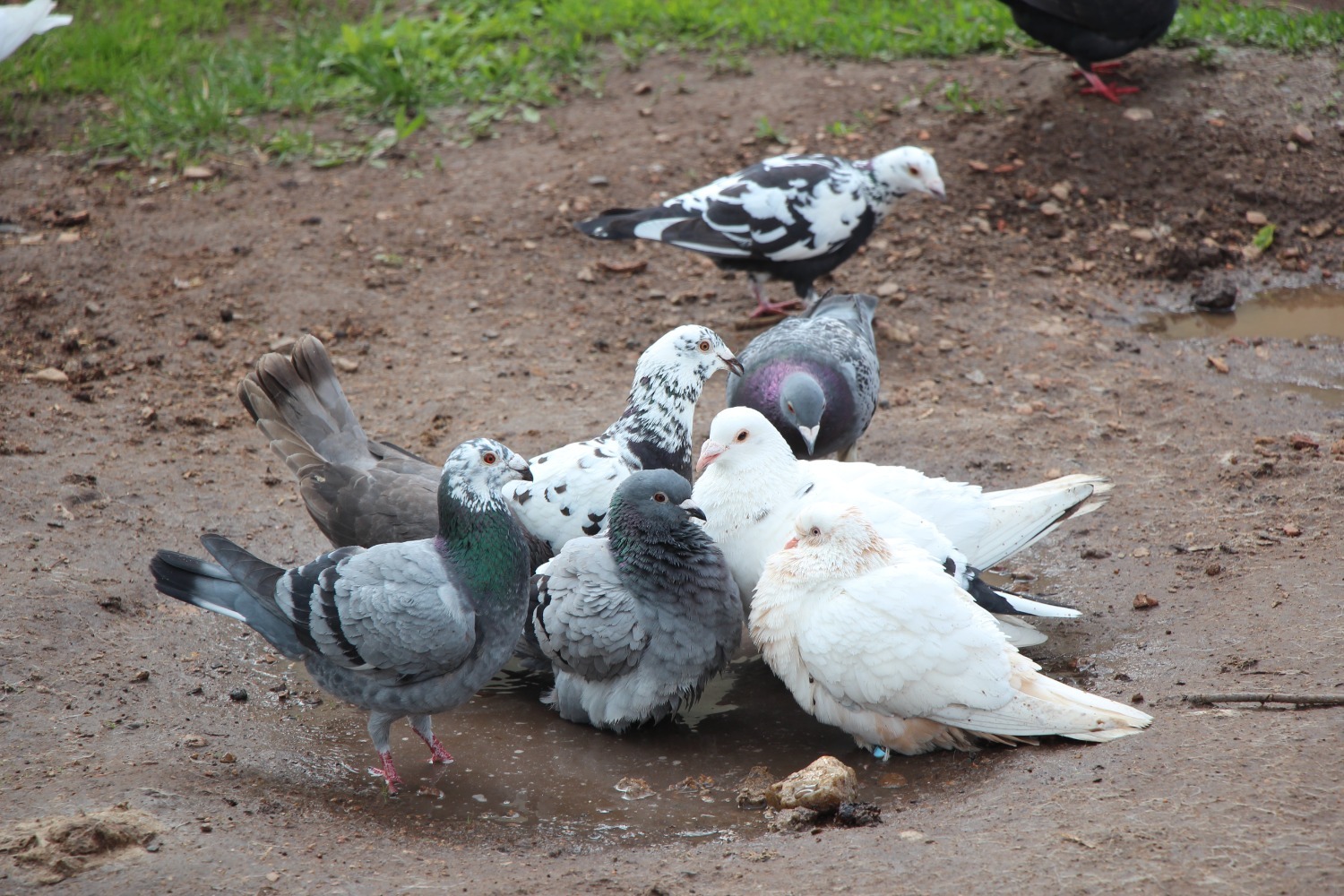 Евгении Сюткиной.