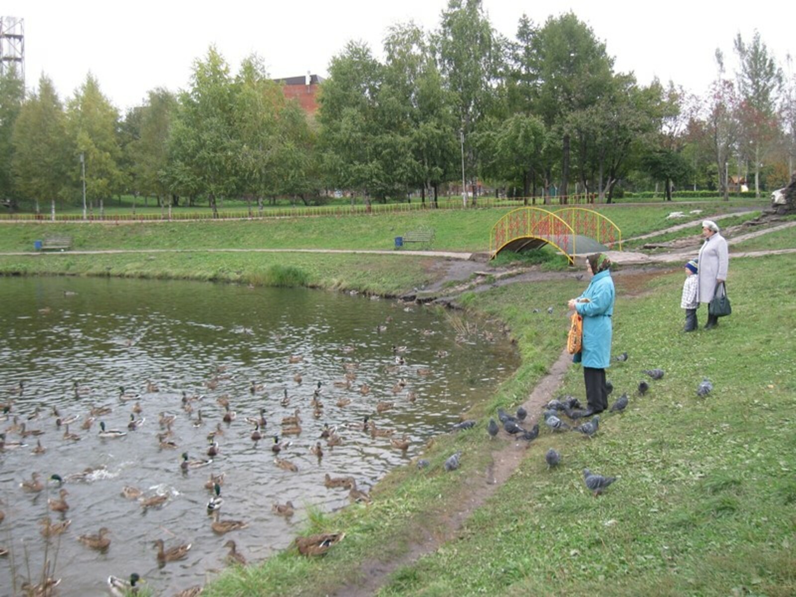 Фото автора.