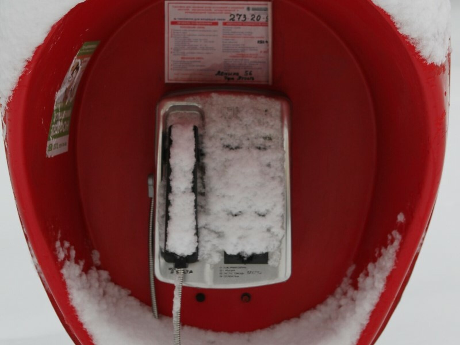 Фото Олега Яровикова.