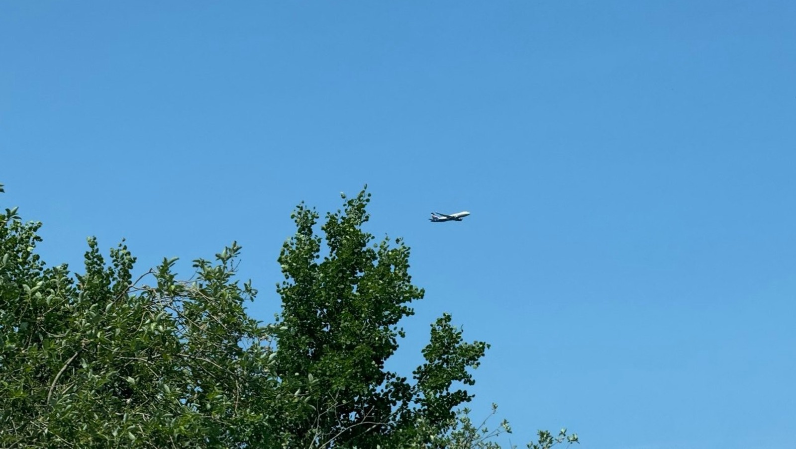 Елены Колоколовой.