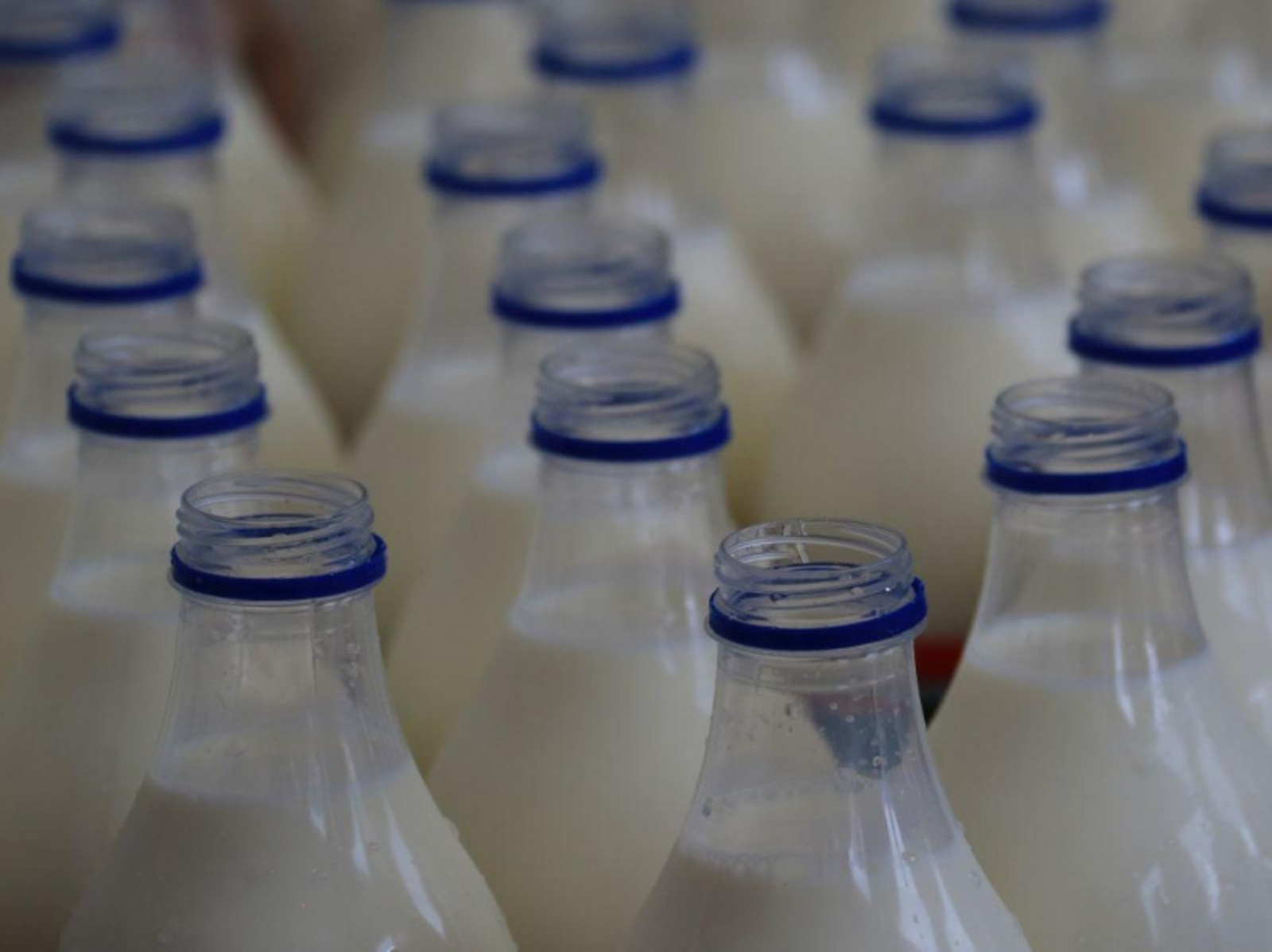 Фото ИА Башинформ.