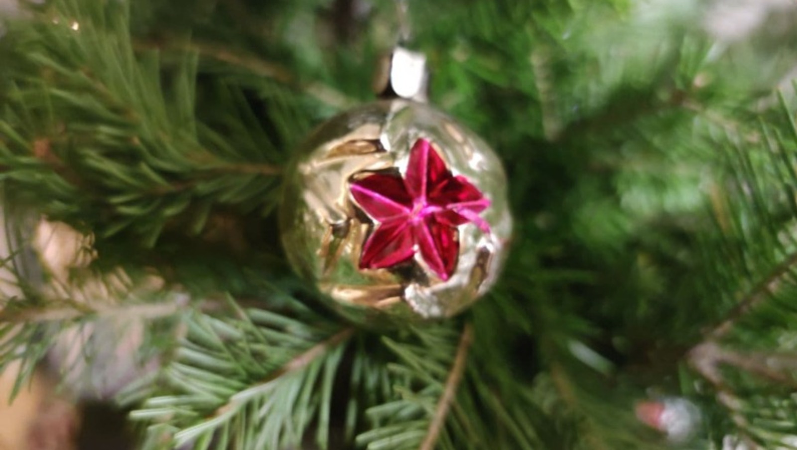 Дарьи Святохиной.