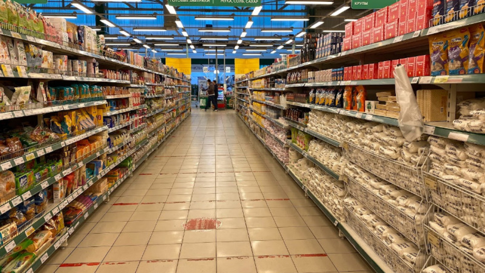 Елены Колоколовой.