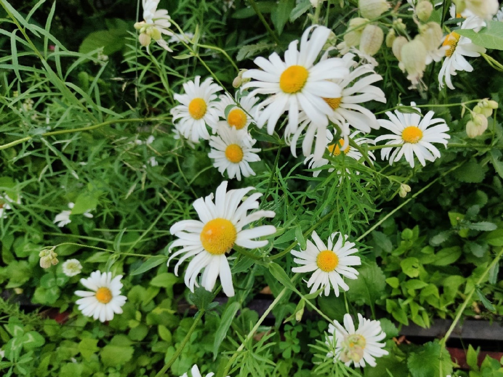 Дарьи Святохиной.