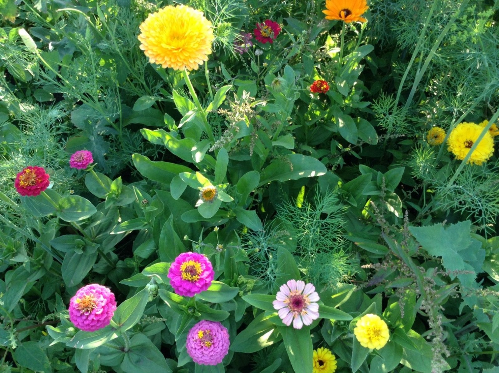 Васили Саитовой.