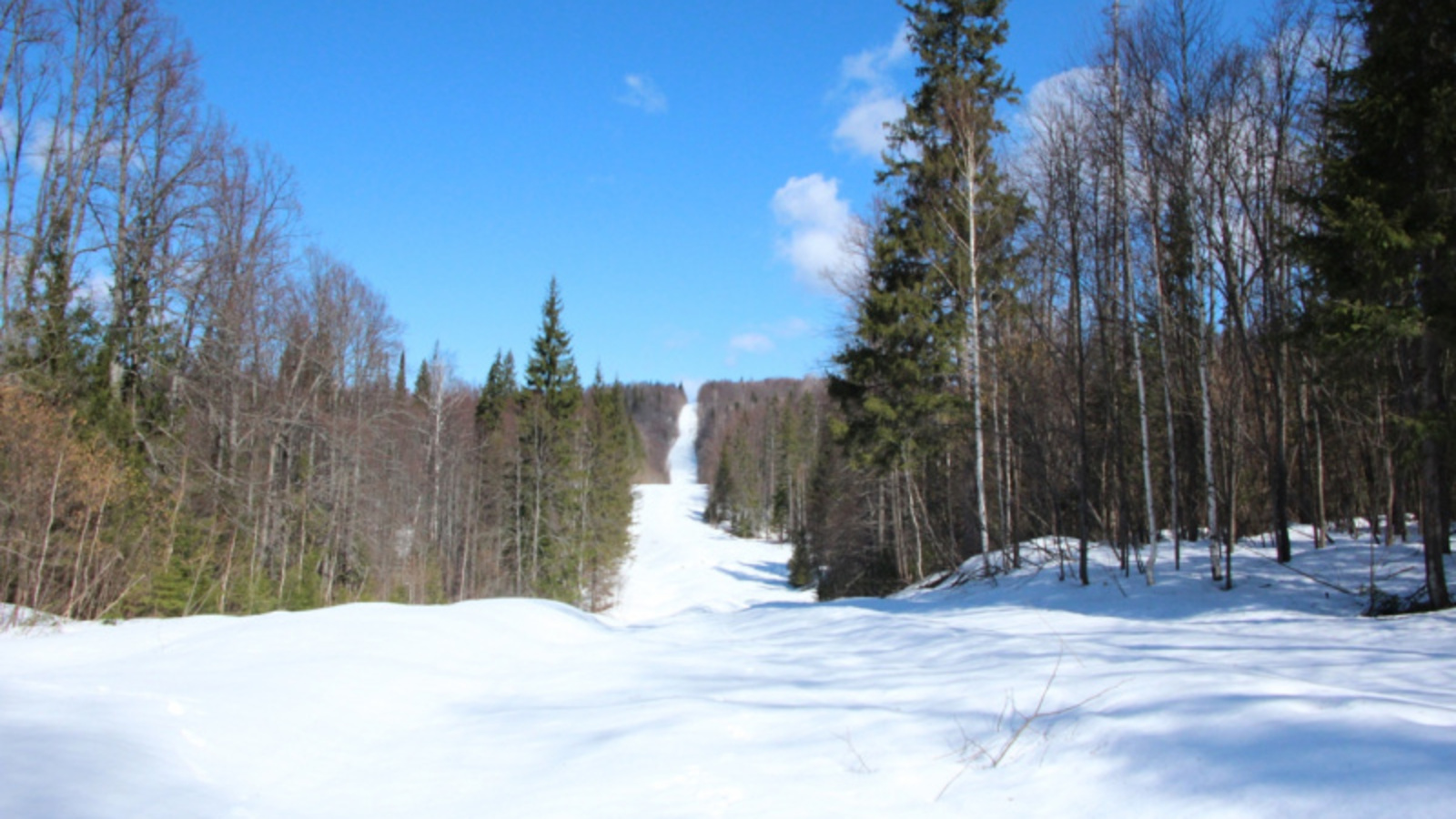 Фото Евгении Сюткиной.