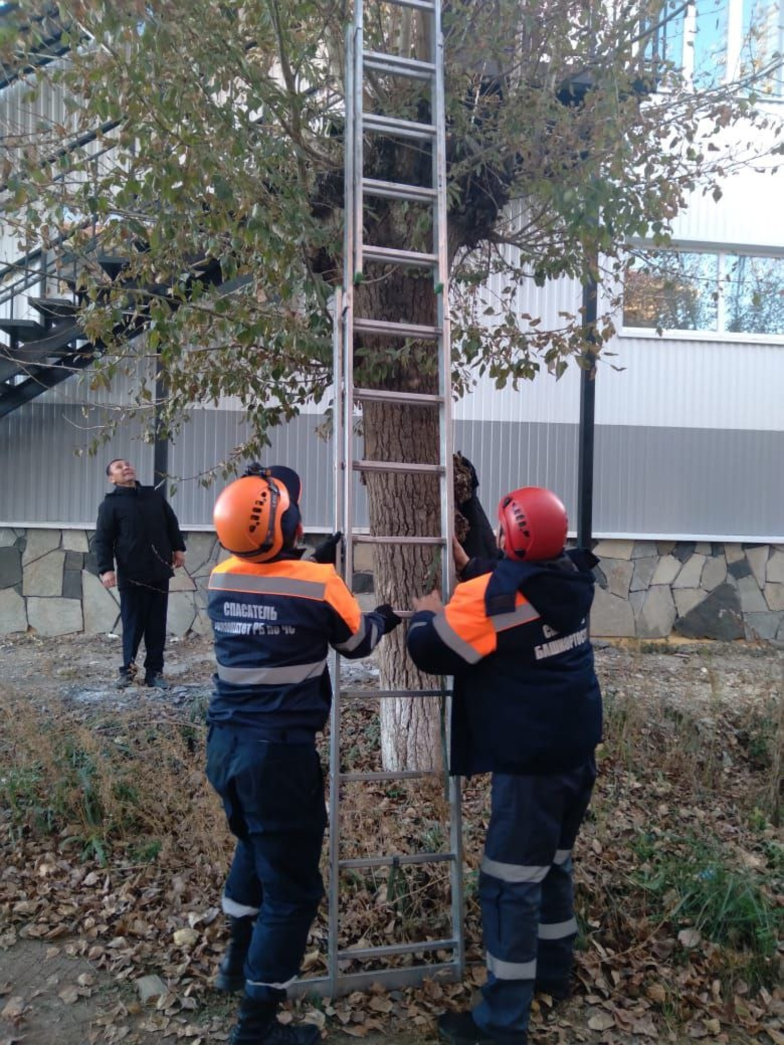 Госкомитет РБ по ЧС.