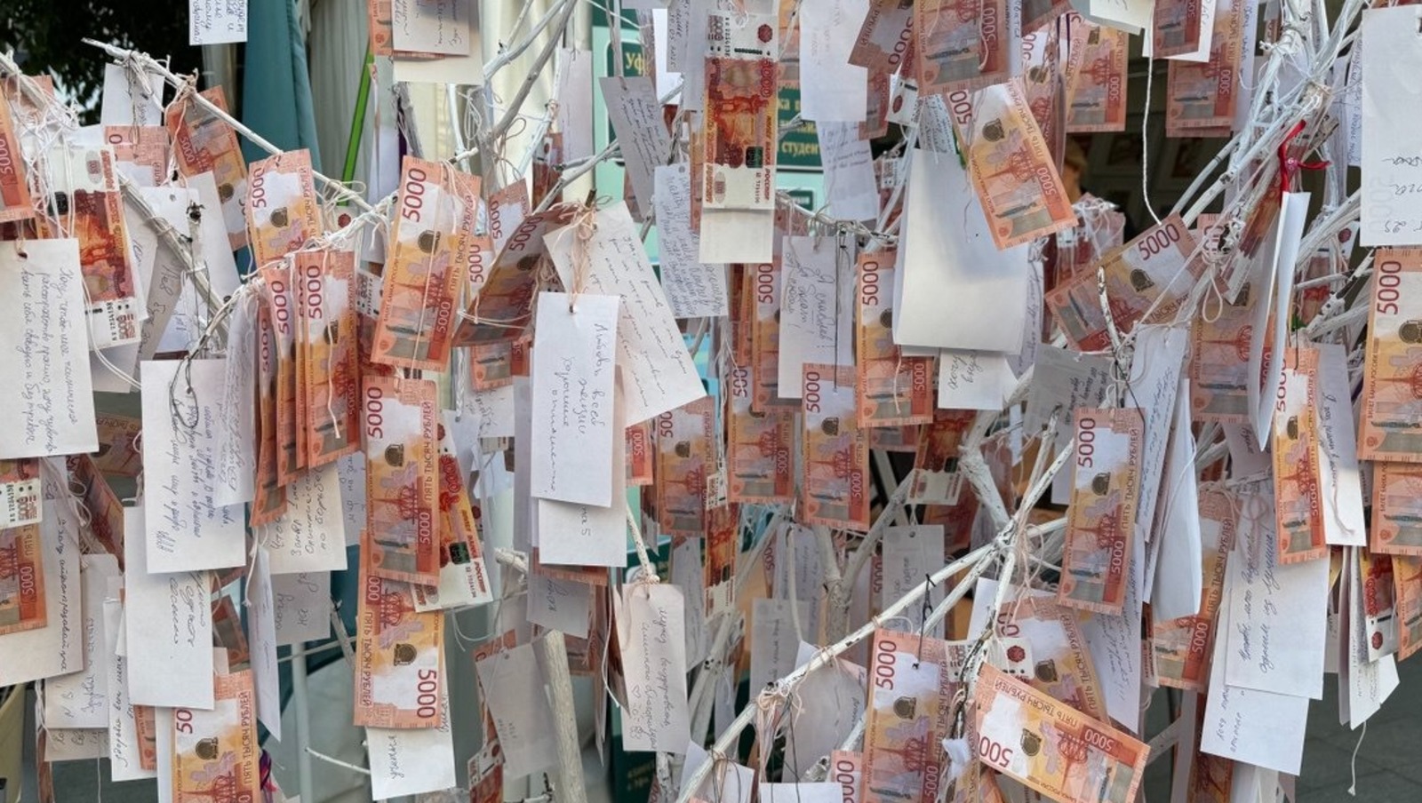 Елены Колоколовой.