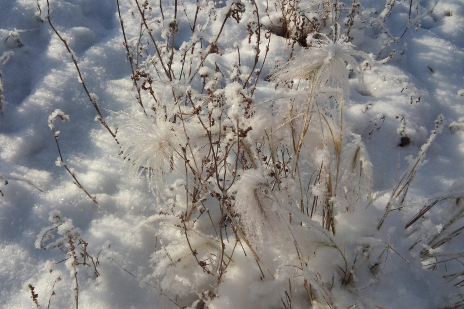 Фото автора.