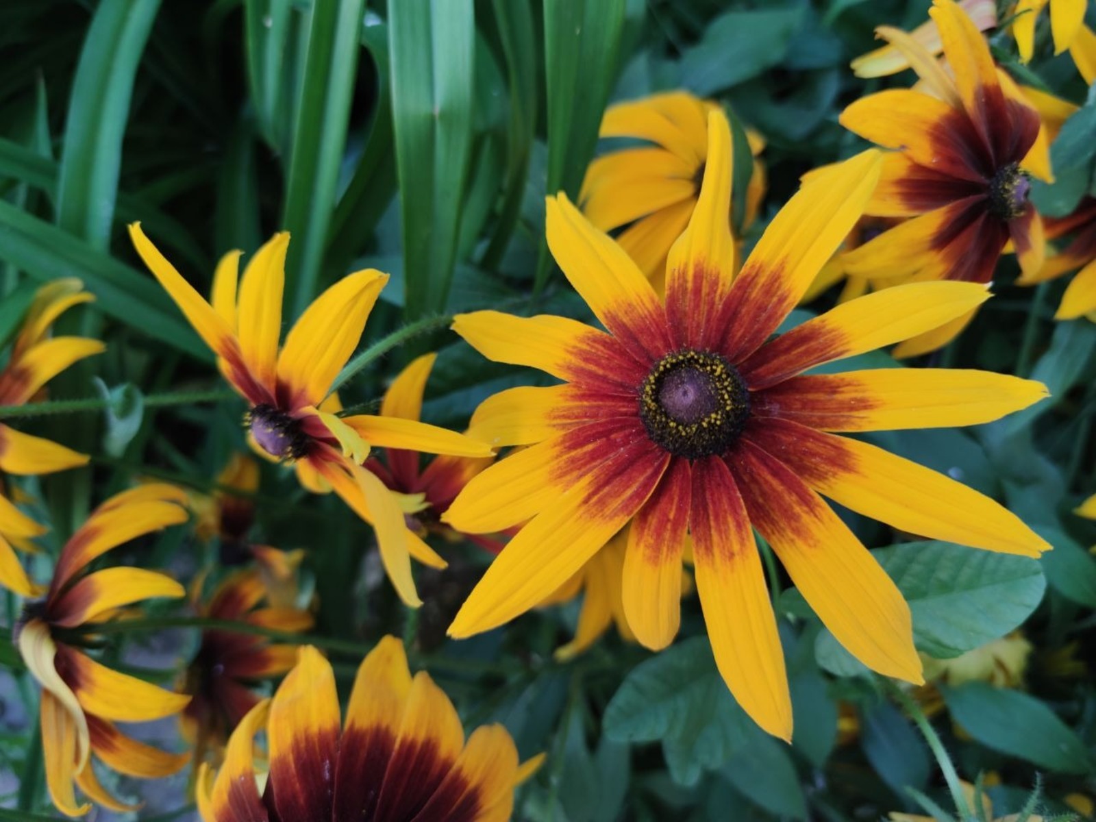 Дарьи Святохиной.