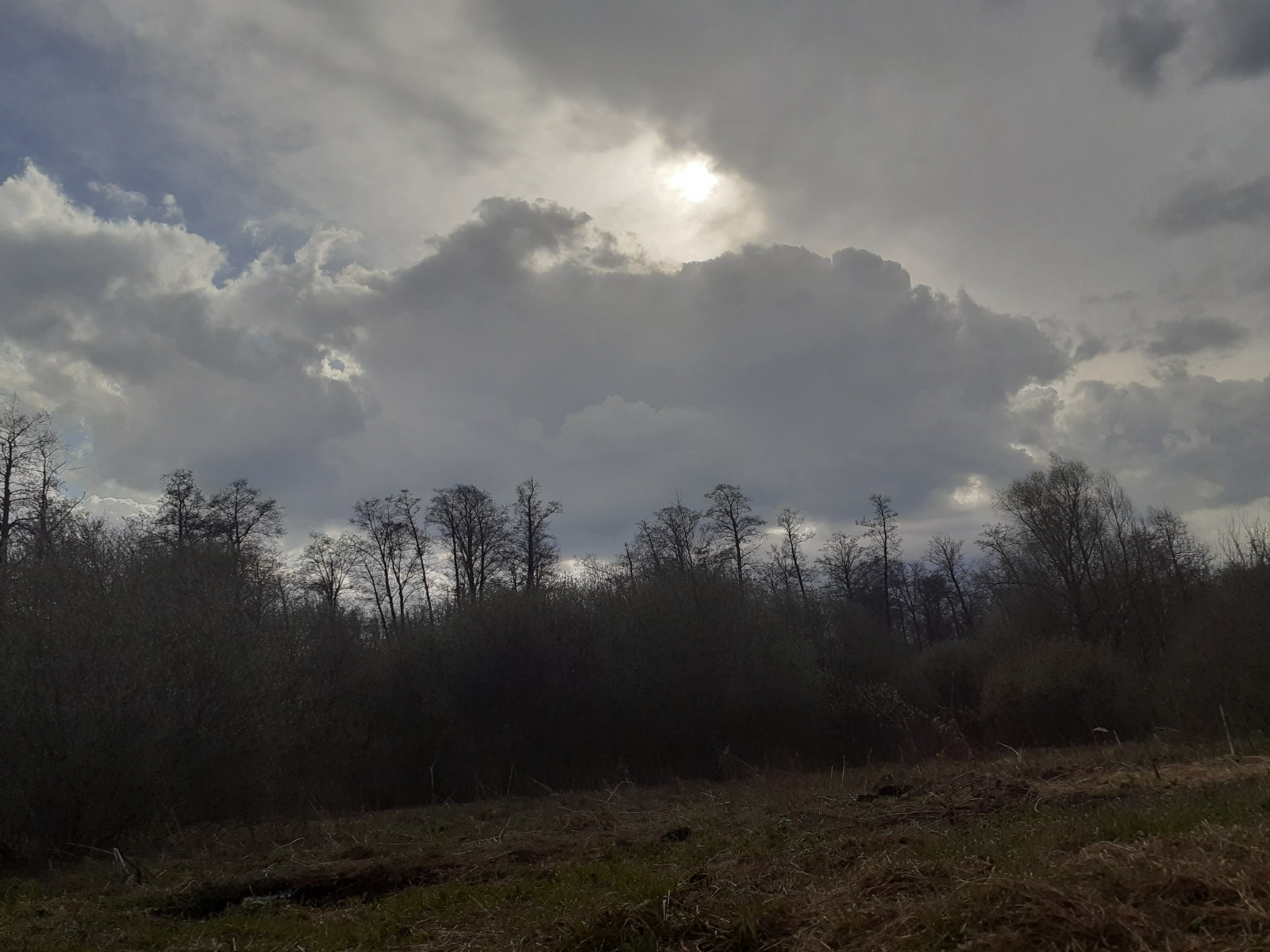 Владимира Шакиева. «Общественная электронная газета».