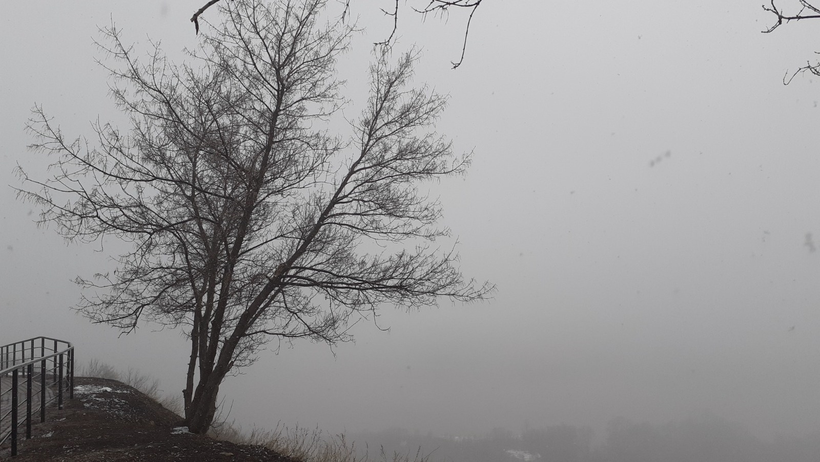 Владимира Шакиева. «Общественная электронная газета».