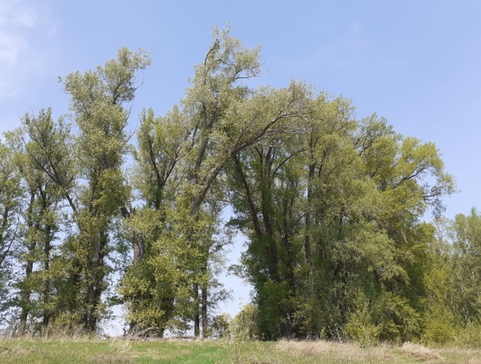 Фото автора.