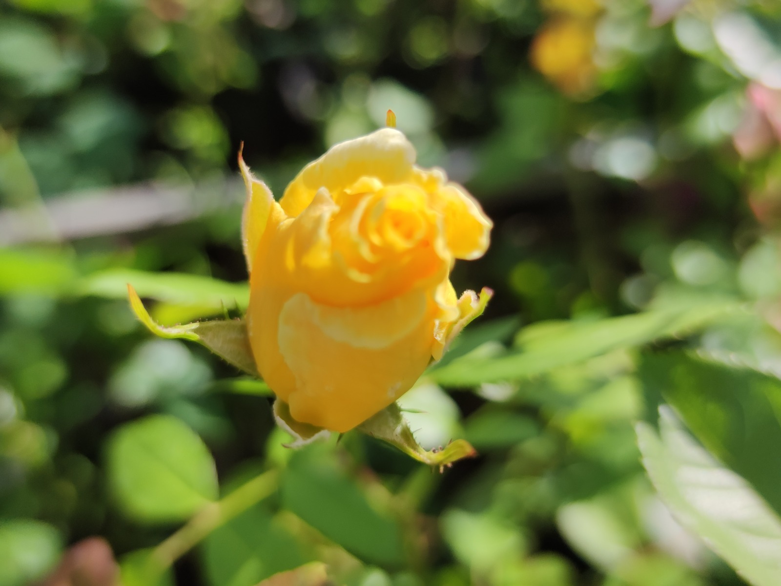 Дарьи Святохиной.