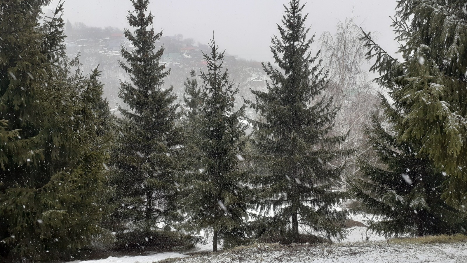 Владимира Шакиева. "Общественная электронная газета".