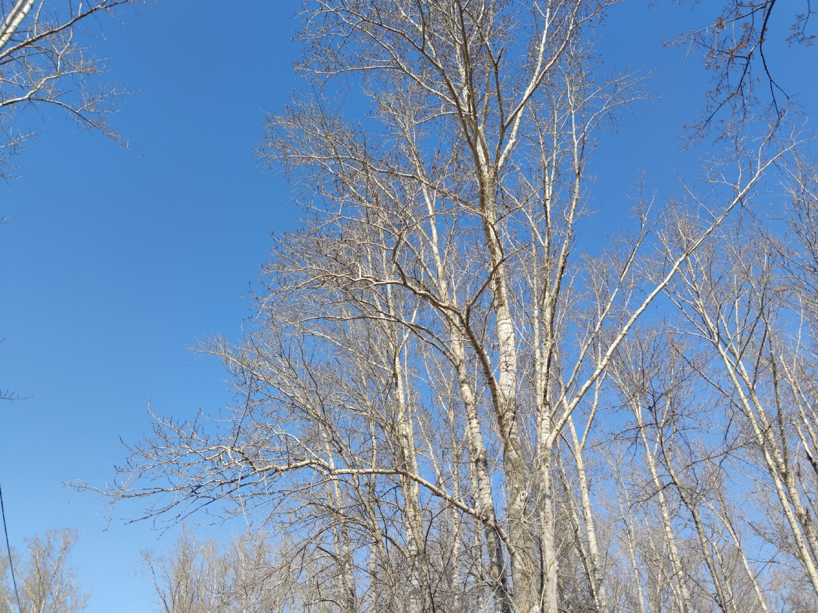 Дарьи Святохиной. «Общественная электронная газета».