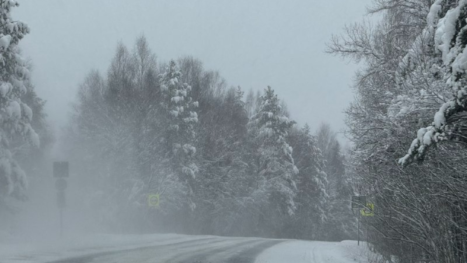Елены Колоколовой.  «Общественная электронная газета».