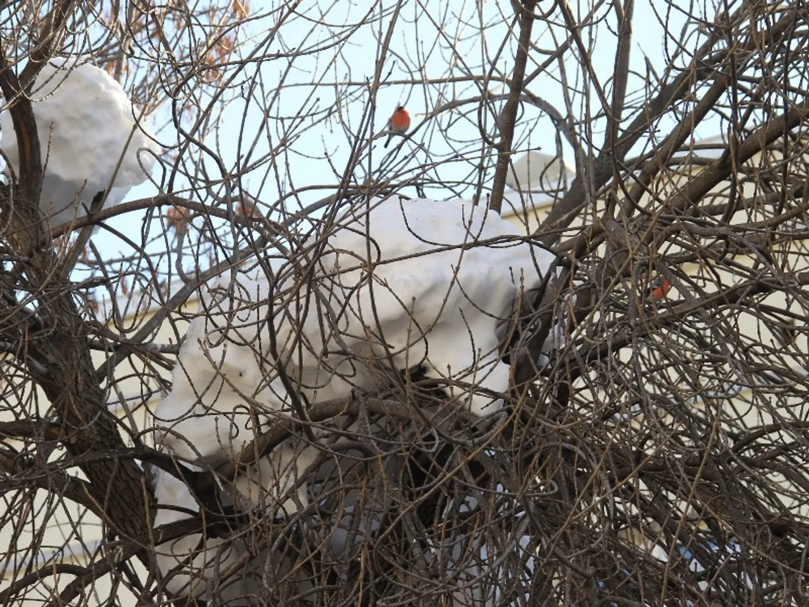 Фото Олега Яровикова.