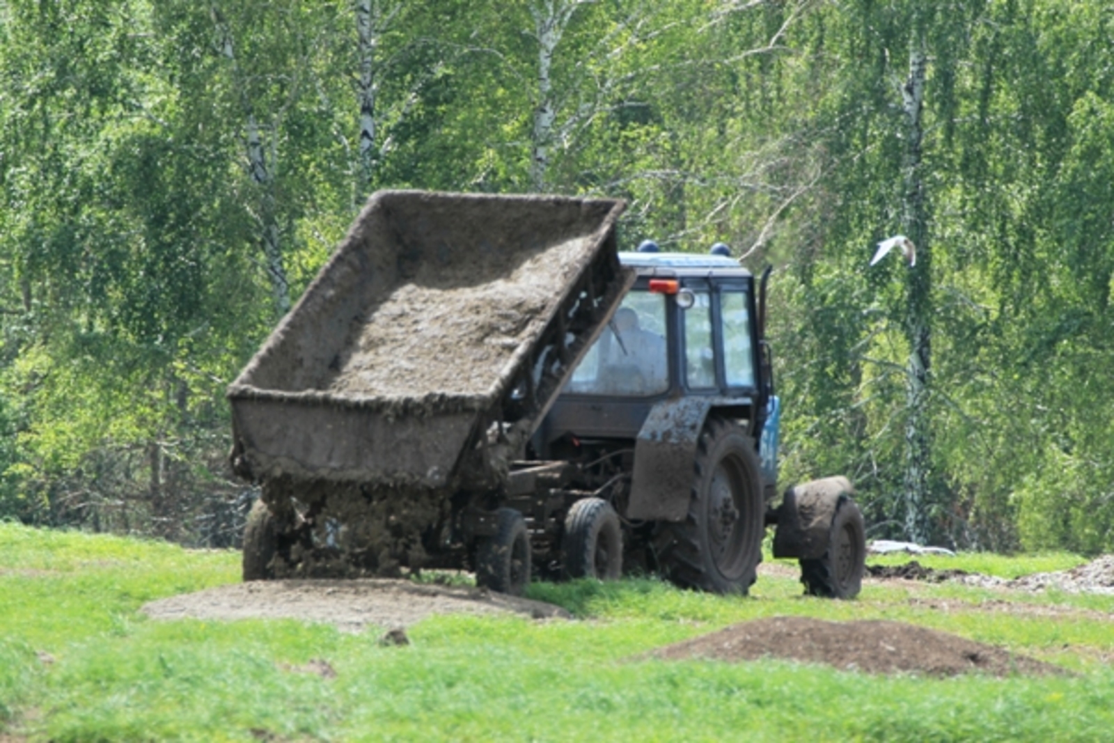 Фото Андрея Старостина.
