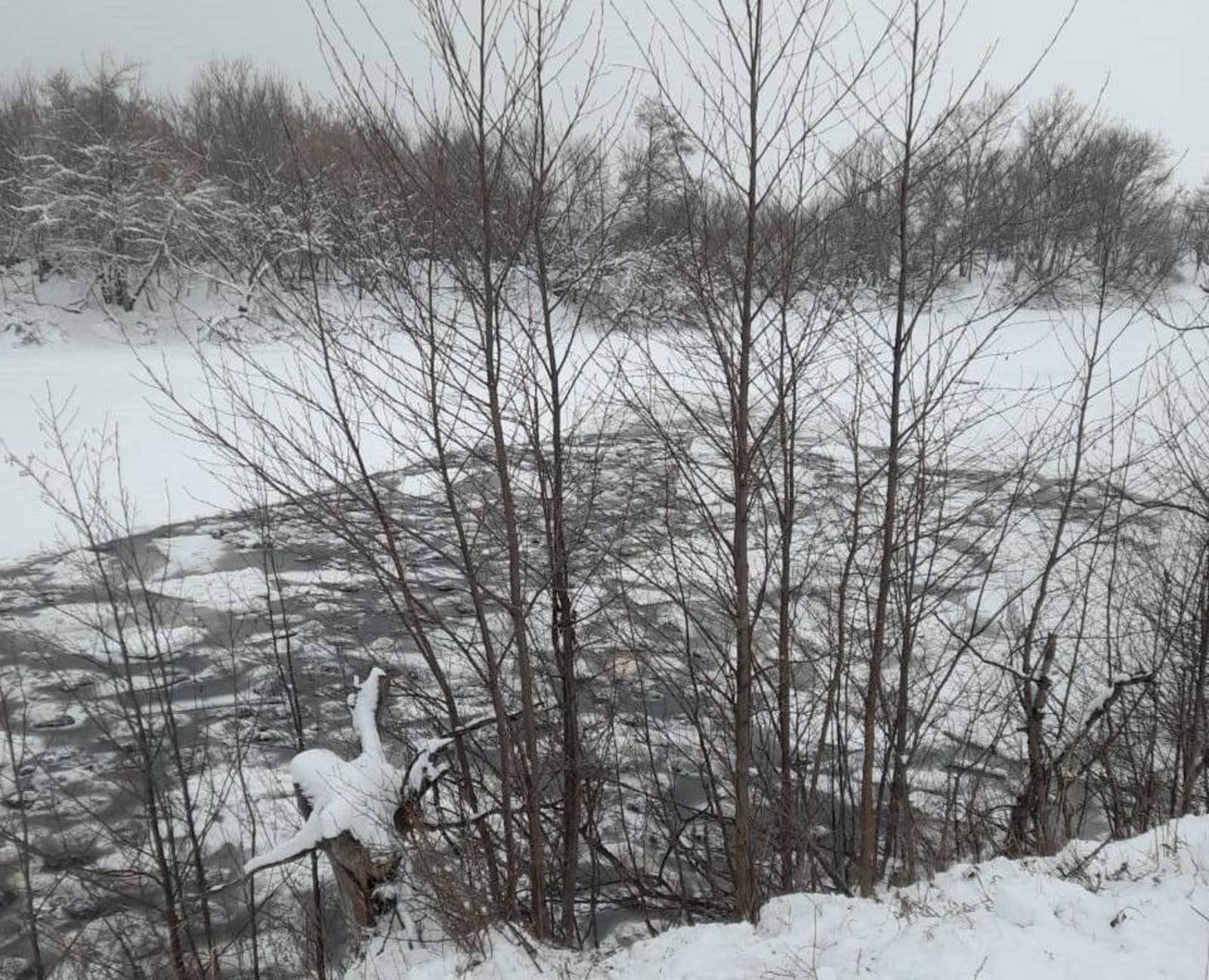 Teiegram, ГУ МЧС РФ по РБ. Teiegram, ГУ МЧС РФ по РБ.