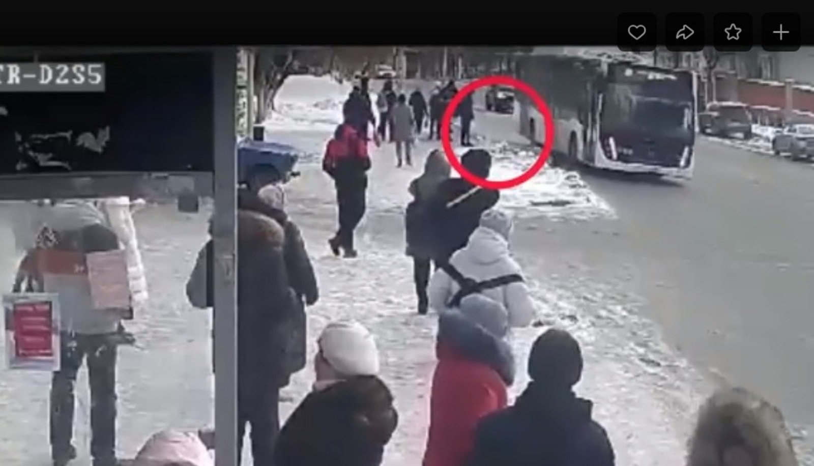 скрин видео.