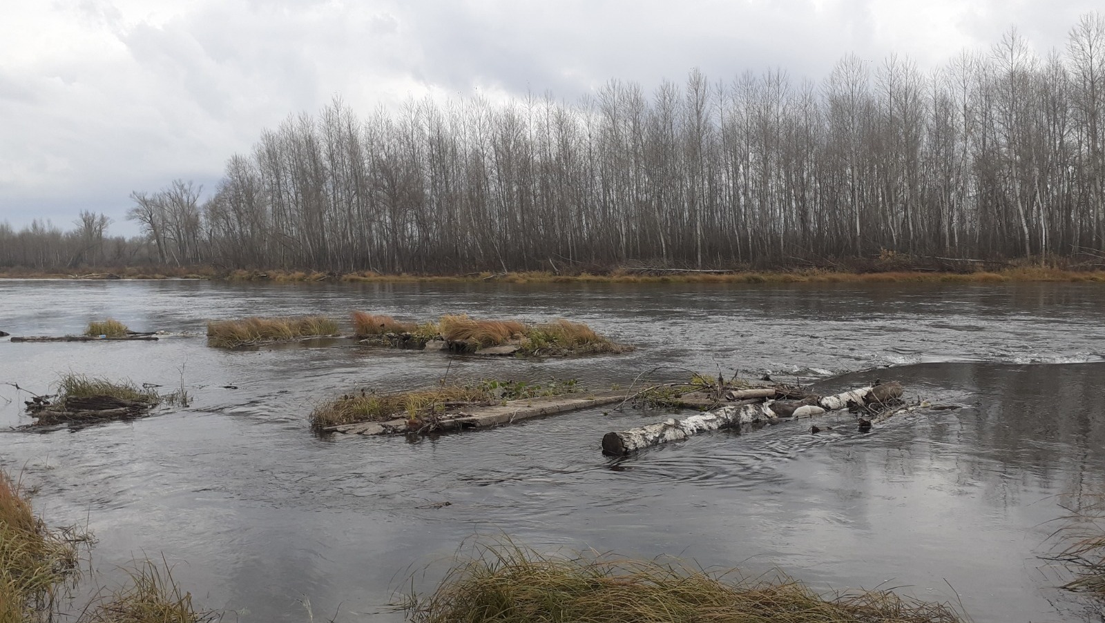 Владимира Шакиева.