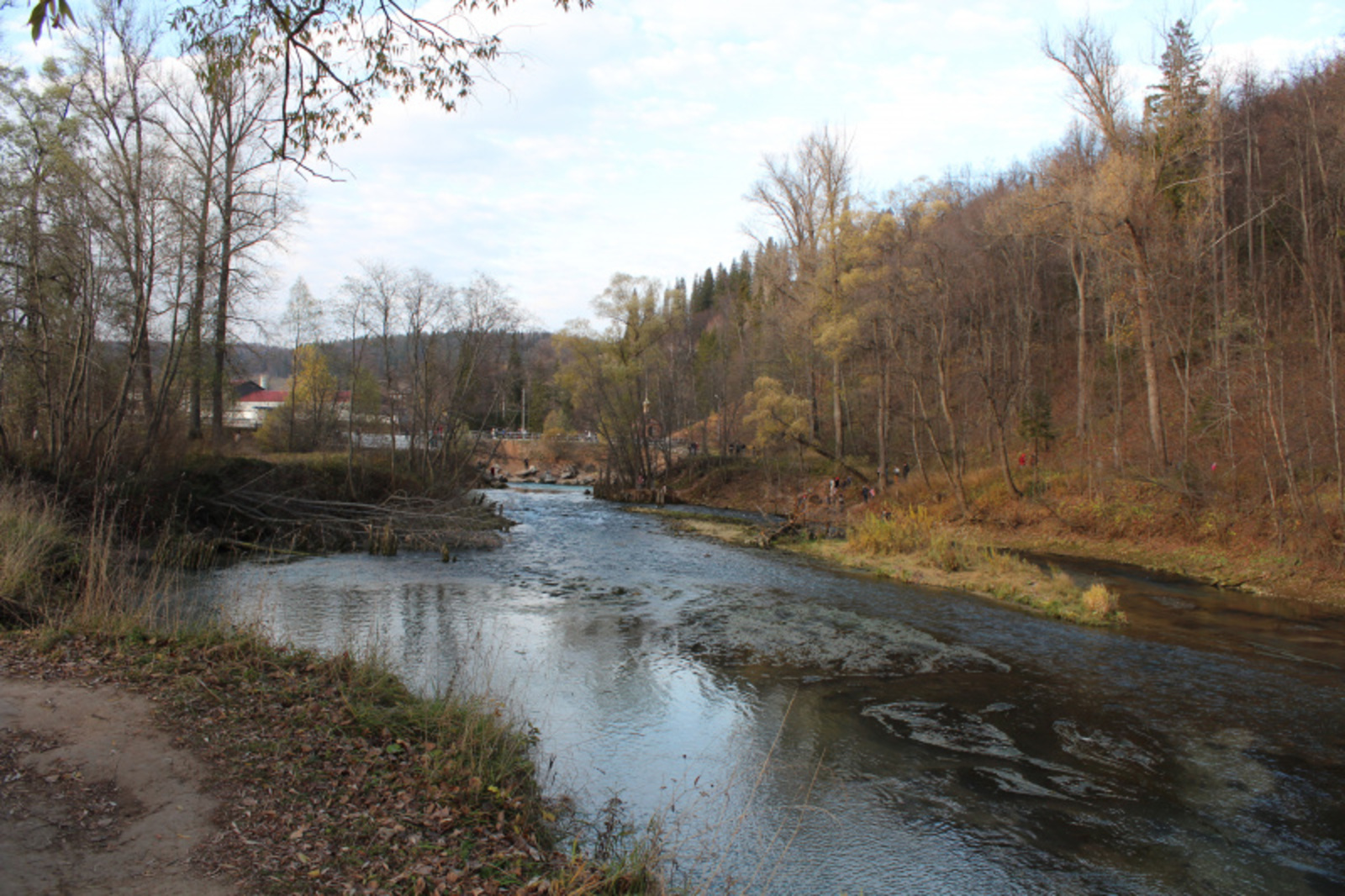 Фото автора.