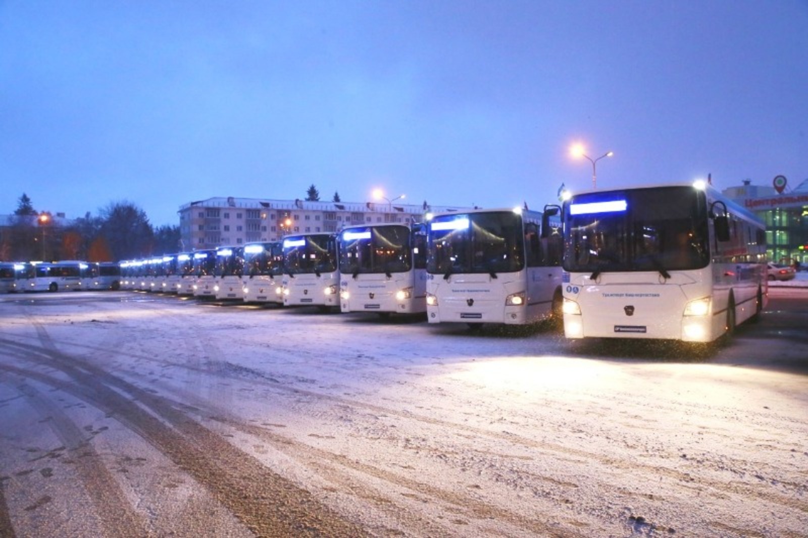 Vk, личная страница Радия Хабирова.