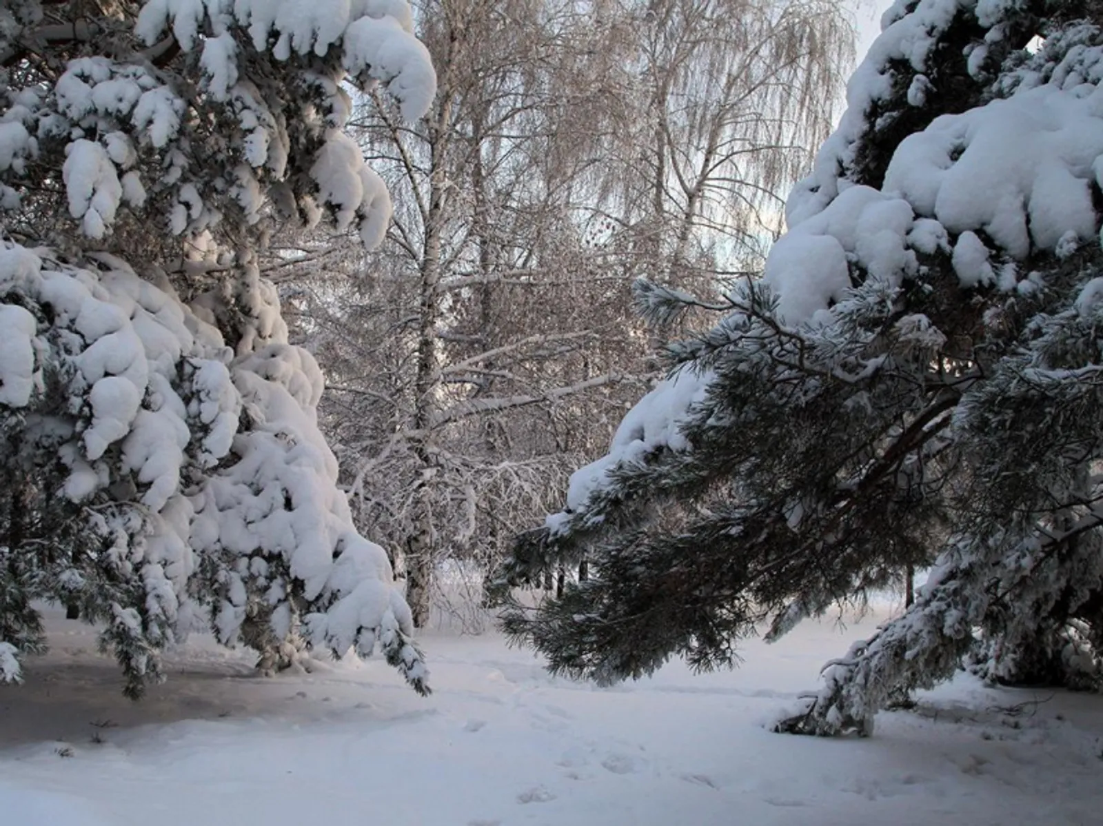 Фото Олега Яровикова.