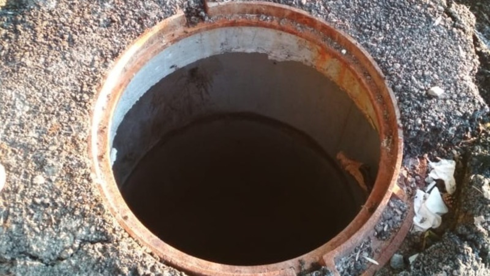 Елены Колоколовой.