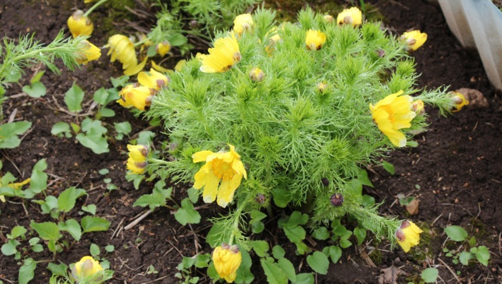 Дарьи Святохиной.