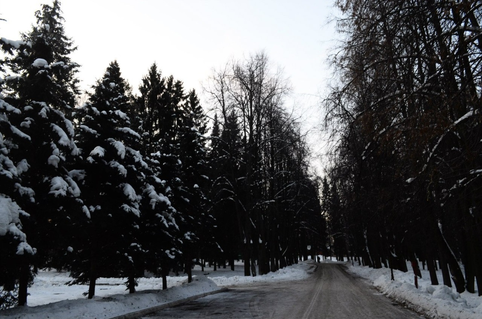 Владимира Шакиева. «Общественная электронная газета».