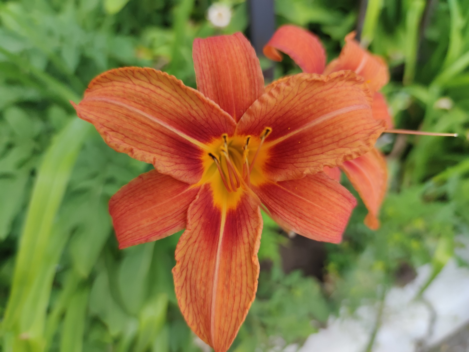 Дарьи Святохиной.