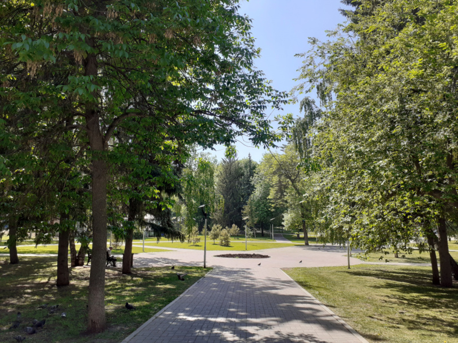 Фото автора.