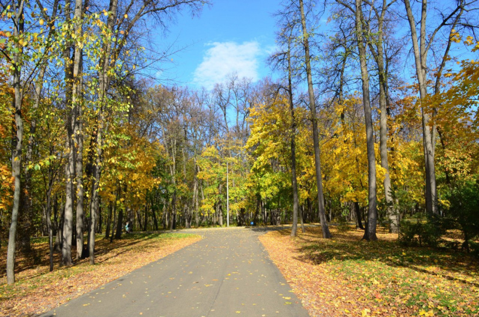 Фото автора.