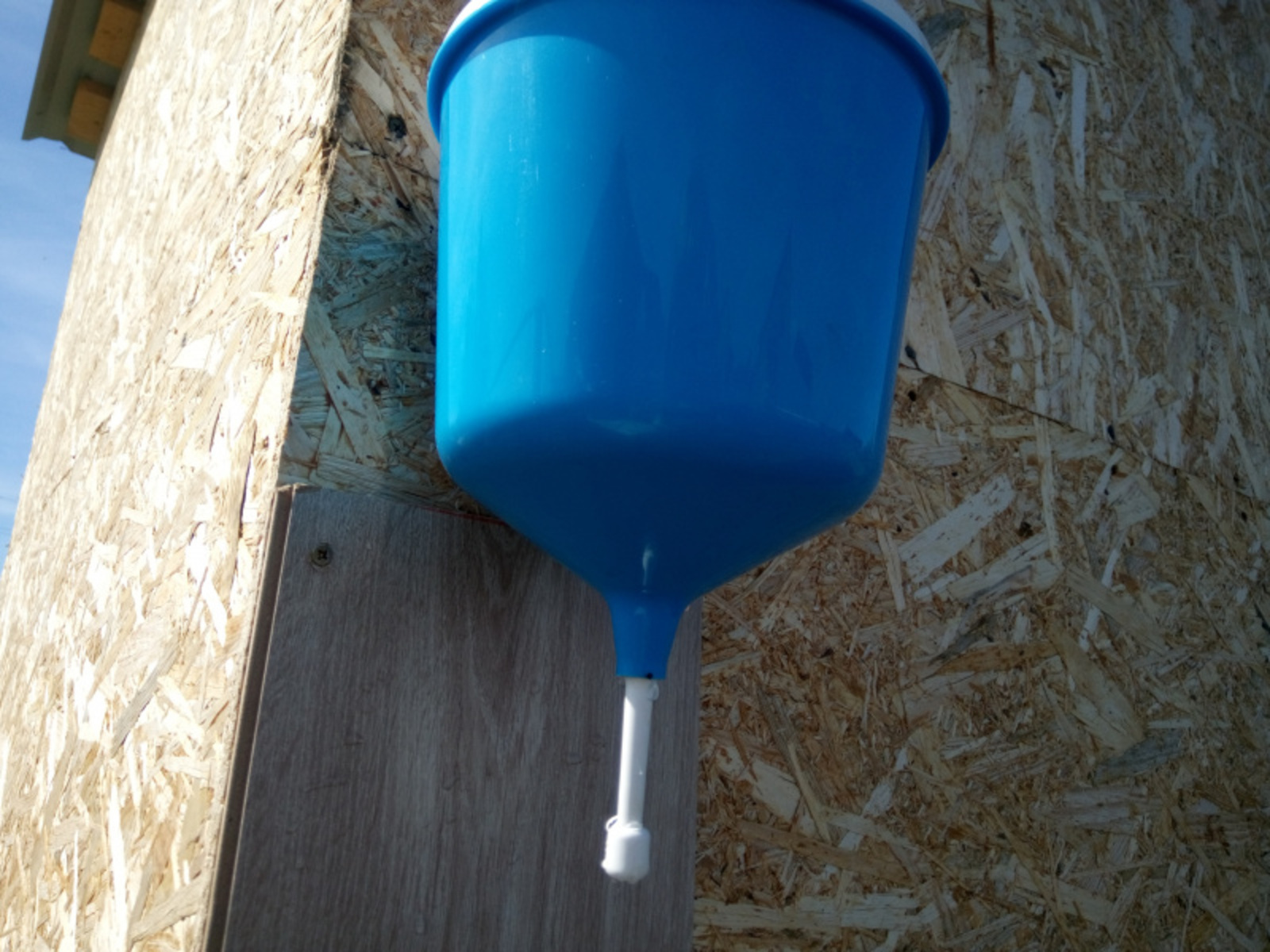 Фото Васили Саитовой.