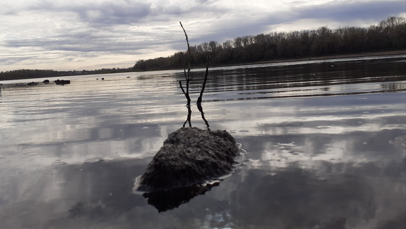 Владимира Шакиева.