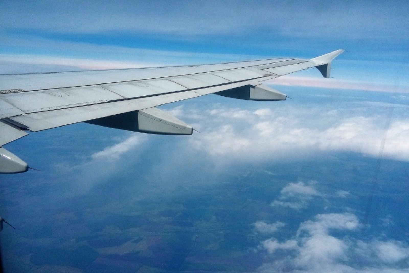 Евгении Сюткиной.