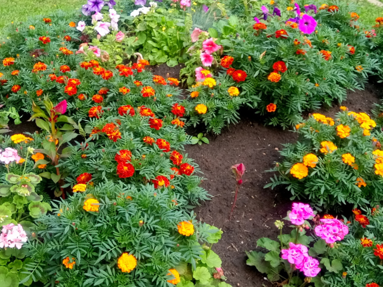 Фото Васили Саитовой.