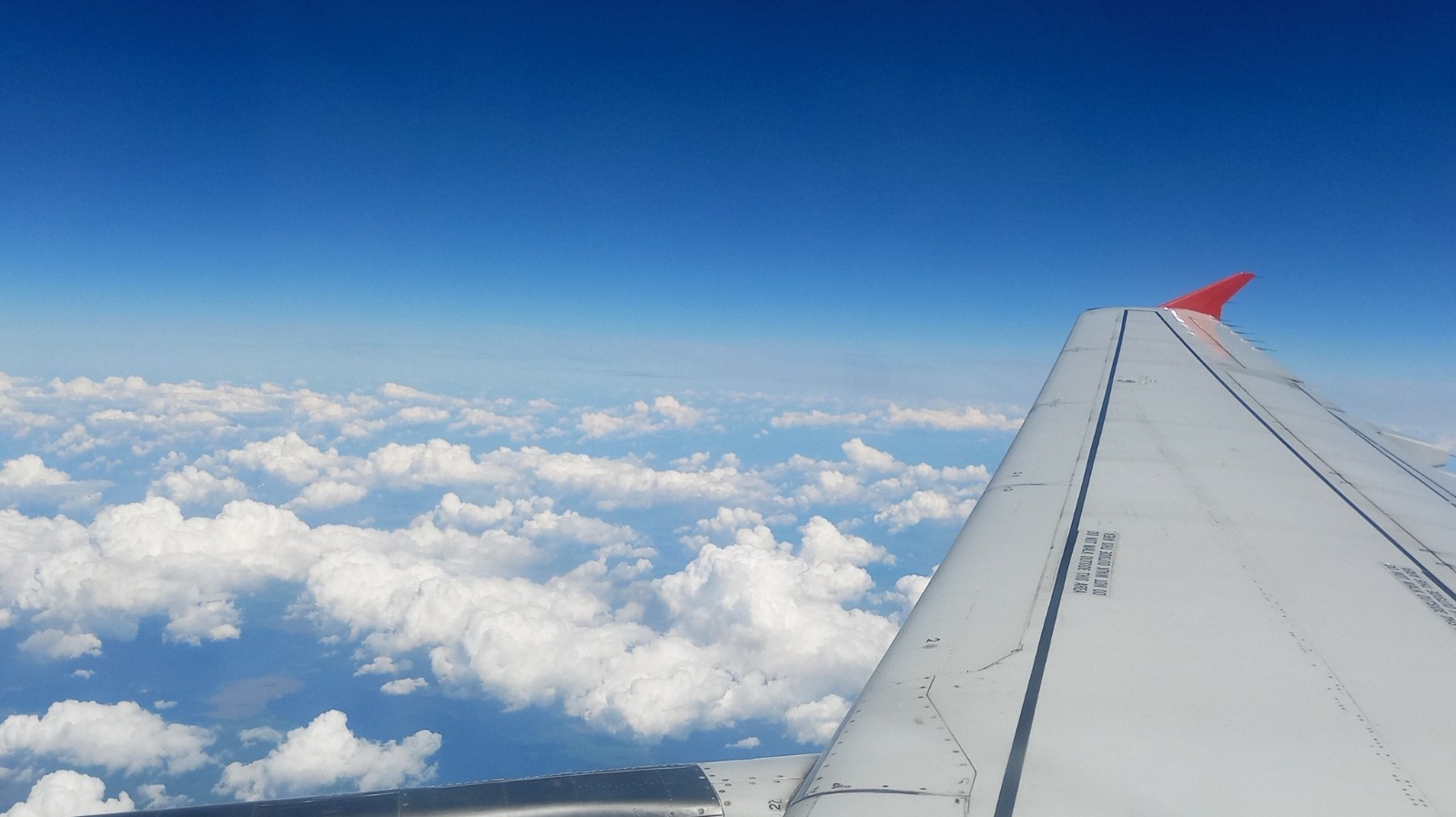 Евгении Сюткиной. «Общественная электронная газета».