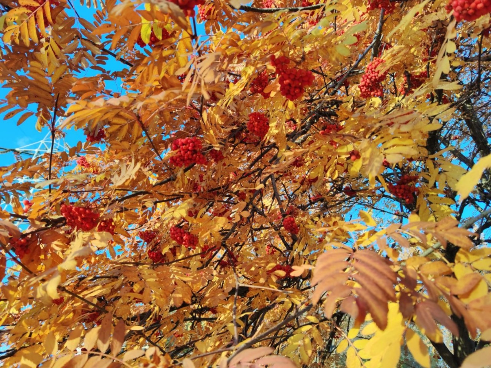 Дарьи Святохиной.