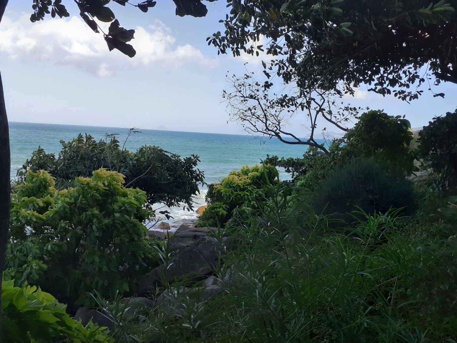 Владимира Шакиева. «Общественная электронная газета».