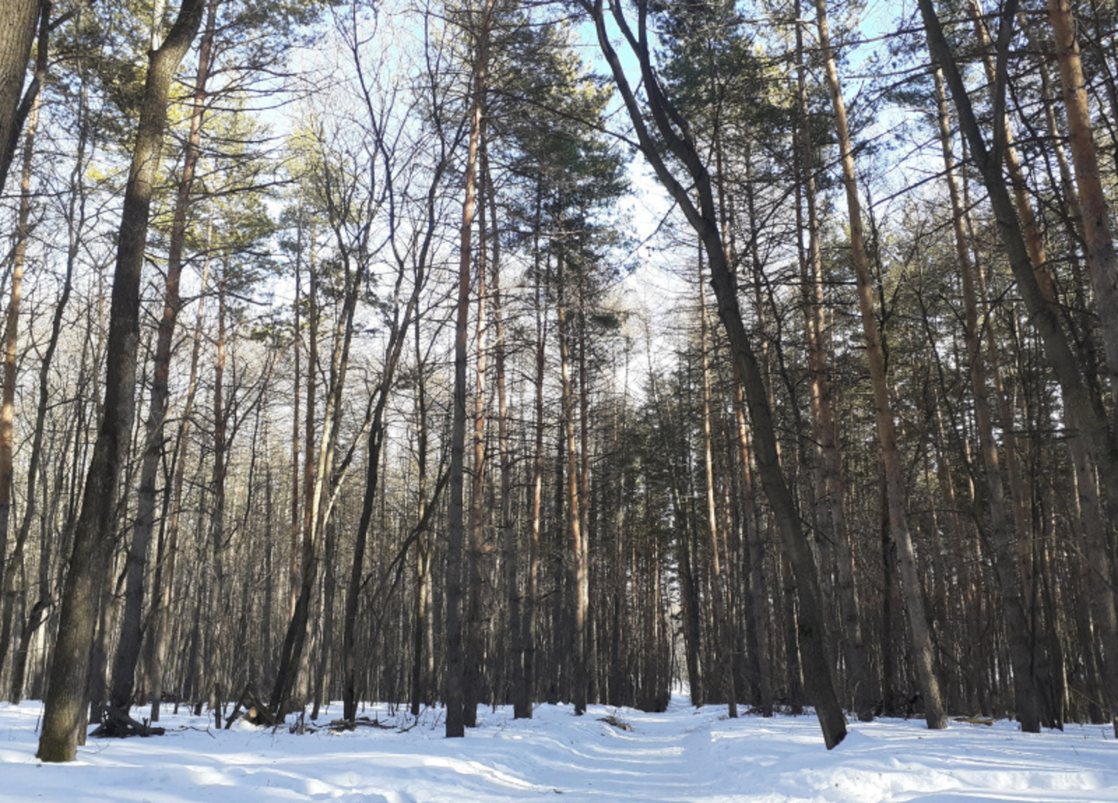 Фото автора.