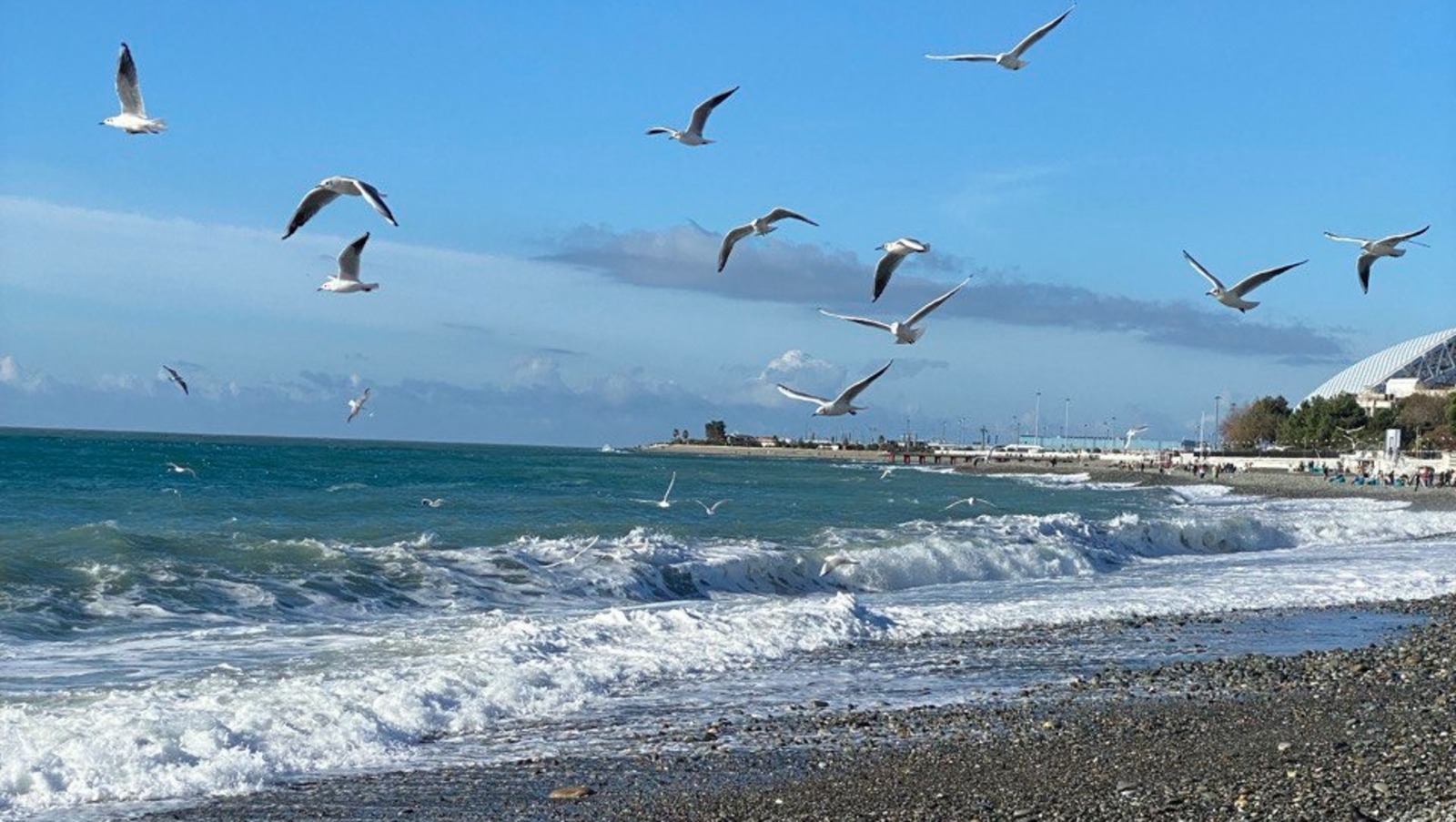 Елены Колоколовой. "Общественная электронная газета".