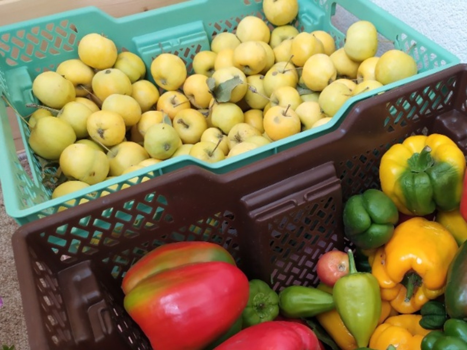 Васили Саитовой.