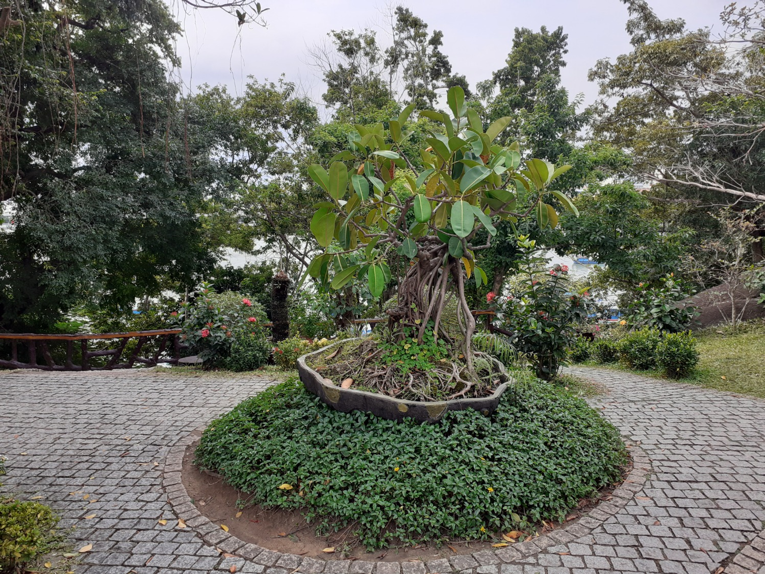 Владимира Шакиева. «Общественная электронная газета».