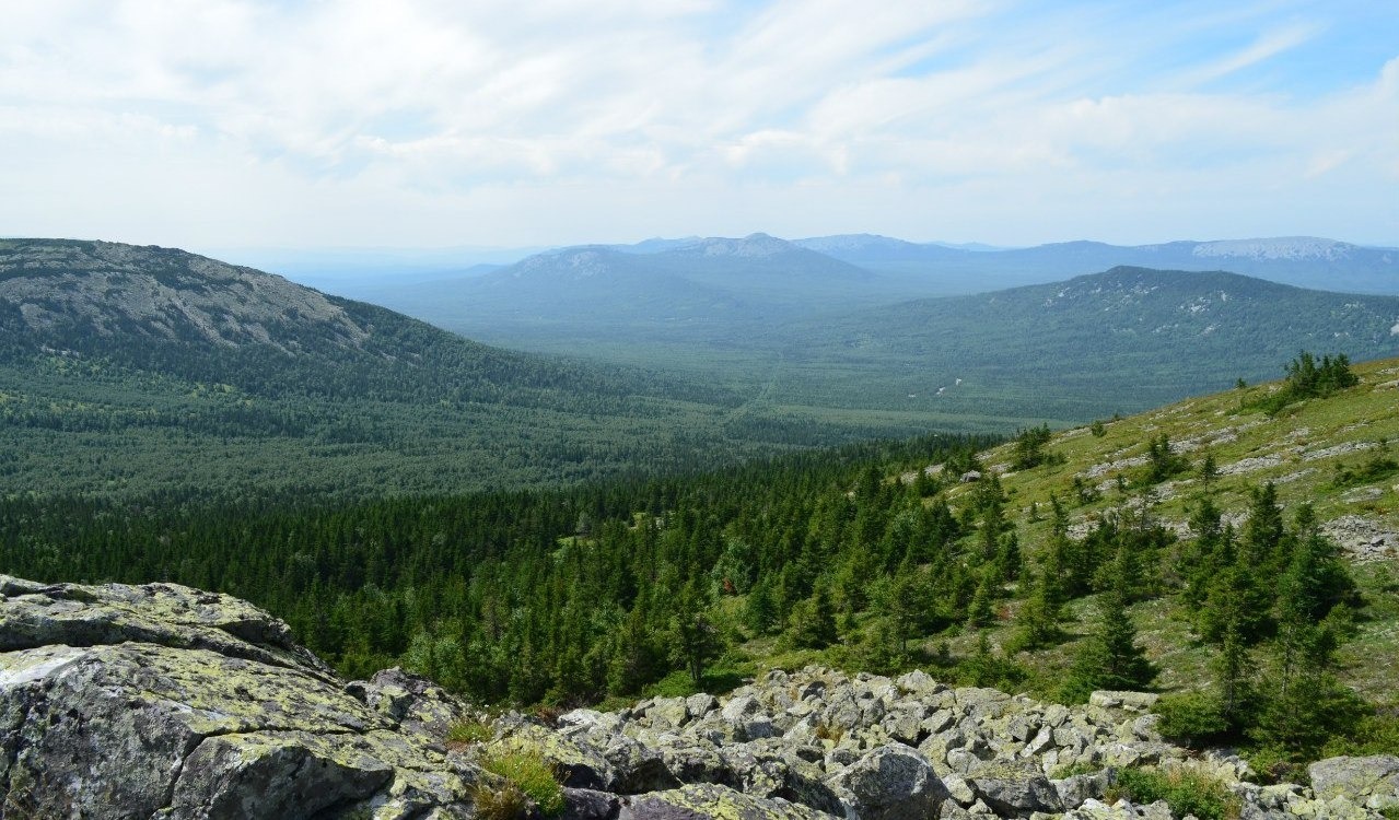 Владимира Шакиева.