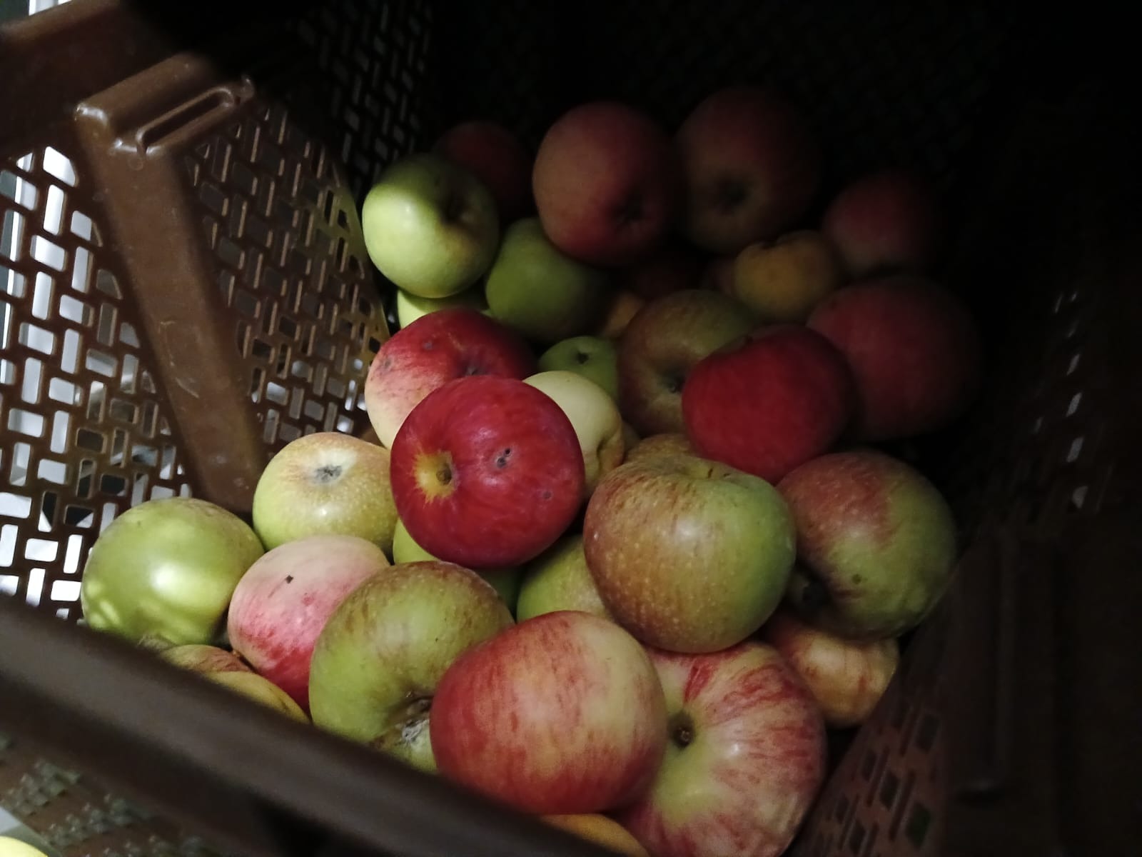 Васили Саитовой.