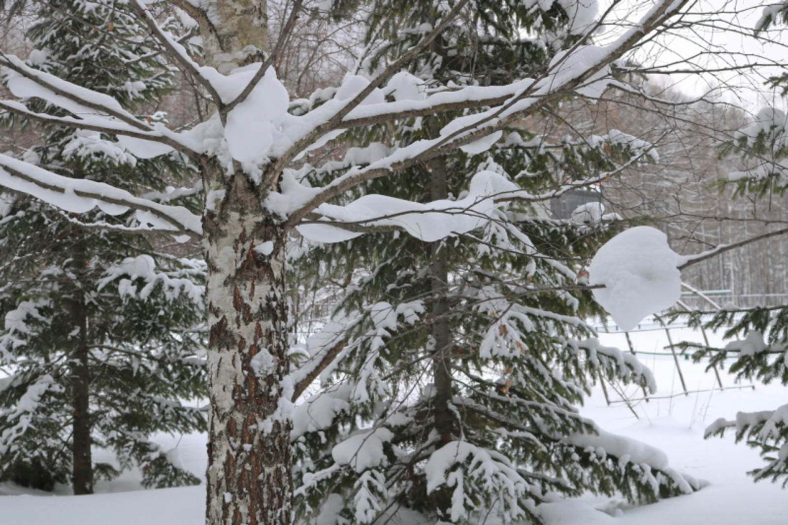 Фото Фарида Гильмиярова.
