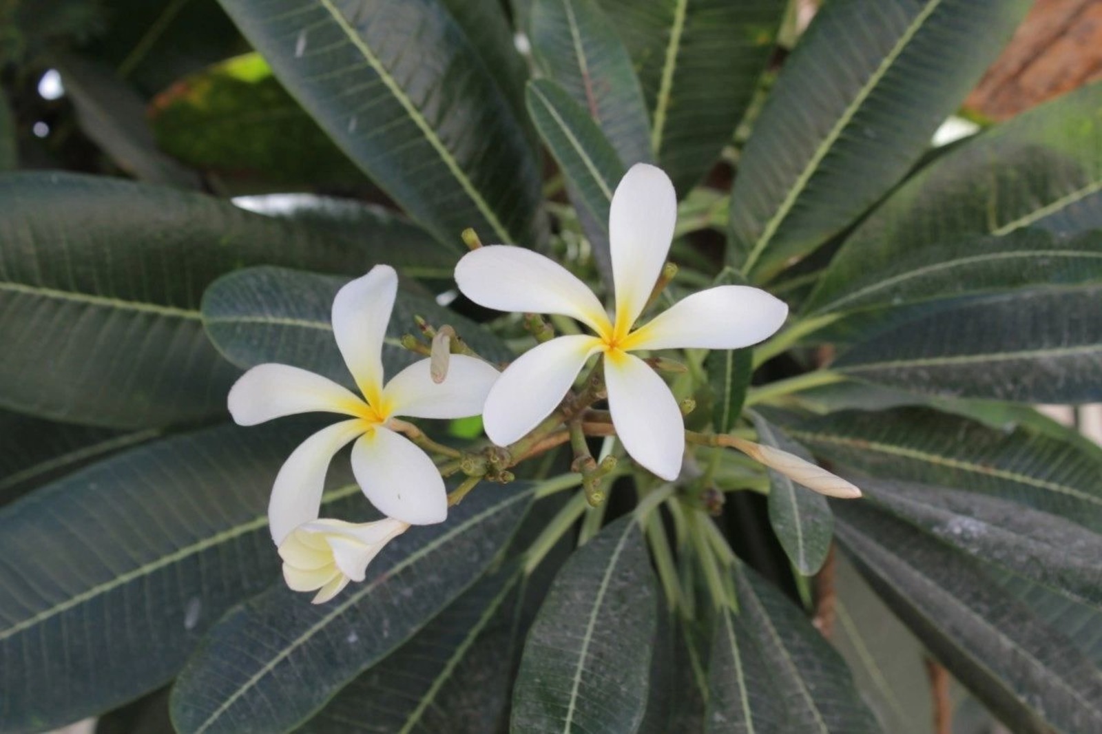 Дарьи Святохиной.